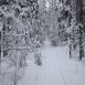 images/thumbsgallery/lumi1-01.png