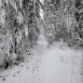 images/thumbsgallery/lumi12-01.png