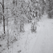 images/thumbsgallery/lumi13-01.png