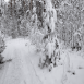 images/thumbsgallery/lumi14-01.png