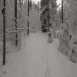 images/thumbsgallery/lumi18-01.png