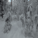 images/thumbsgallery/lumi19-01.png