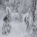 images/thumbsgallery/lumi2-01.png