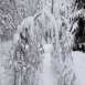 images/thumbsgallery/lumi3-01.png