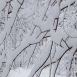 images/thumbsgallery/lumi4-01.png