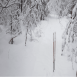 images/thumbsgallery/lumi5-01.png