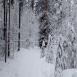 images/thumbsgallery/lumi6-01.png