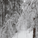 images/thumbsgallery/lumi7-01.png